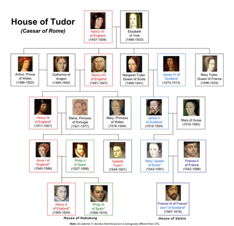 letà dei tudor|house of tudor kingdom.